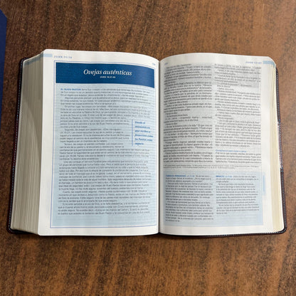 Personalized NTV Spanish Study Bible, Swindoll Biblia De Estudio - Cafe SentiPiel - 9781496438560