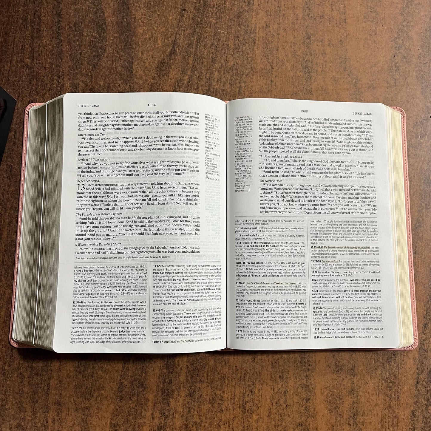 Personalized ESV Study Bible - Blush Rose (Pink) Trutone ** Custom Imprinted with name engraved 9798874902681