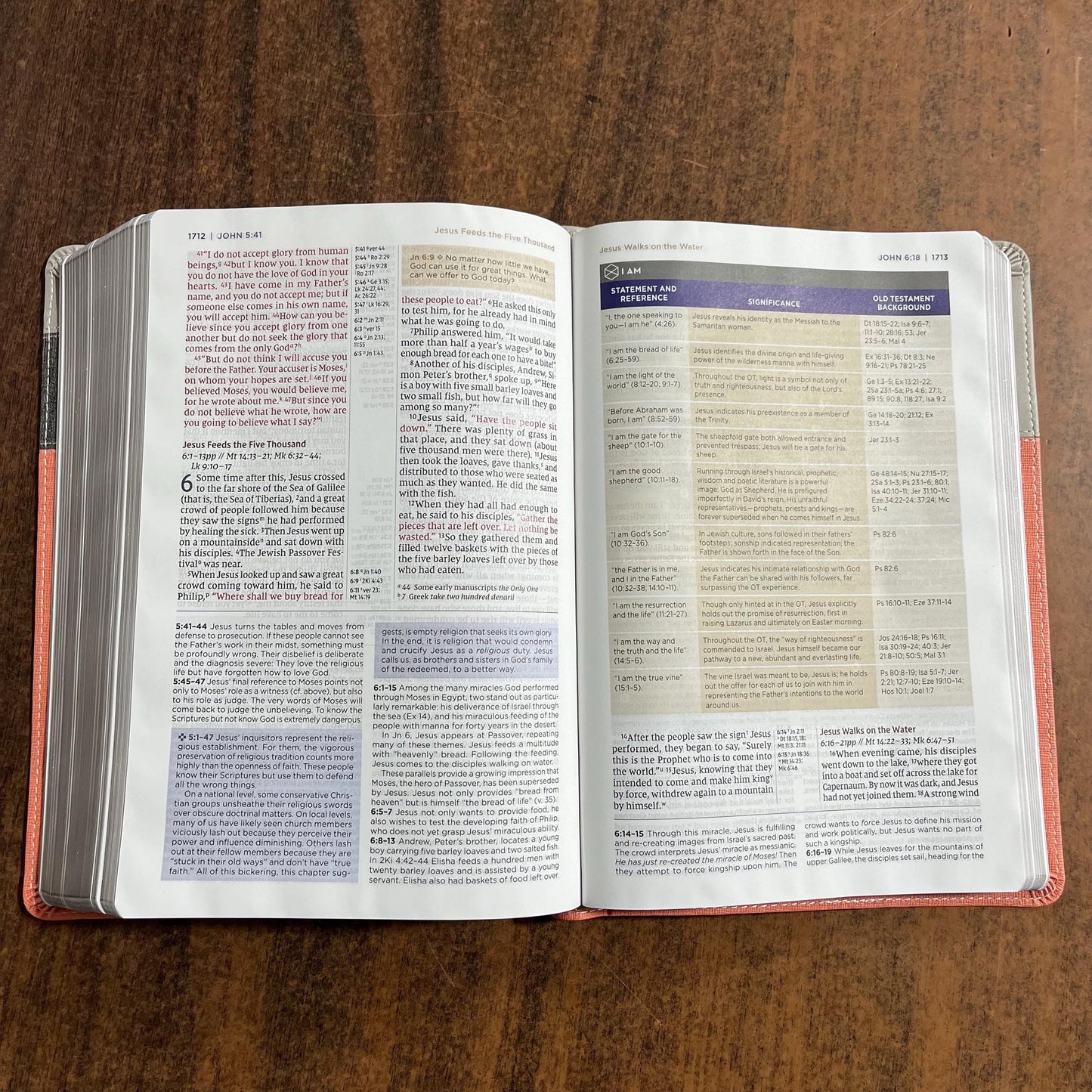 Personalized NIV Application Study Bible - Coral / Gray LeatherSoft - Custom Imprinted with a name, 9780310465171 (Update to Life Application Bible)