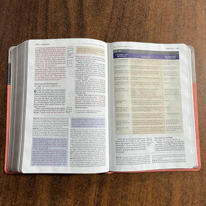Personalized NIV Application Study Bible - Coral / Gray LeatherSoft - Custom Imprinted with a name, 9780310465171 (Update to Life Application Bible)
