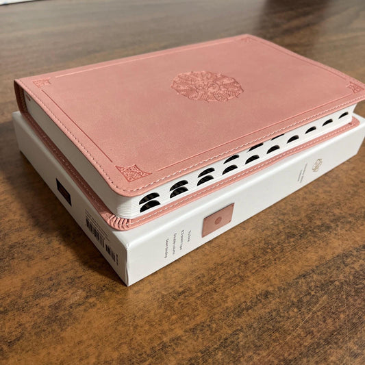 Personalized ESV Thinline Bible Thumb Indexed - Blush Rose (Pink) Cover - Custom Imprinted with a name - 9798874904333 - 2025 text