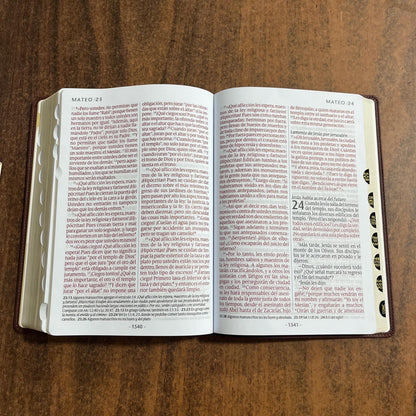 Personalized Spanish Bible Thumb Indexed - NTV Biblia Letra Super Gigante - Giant Print Bible - Dark Brown LeatherLike 9781496484963