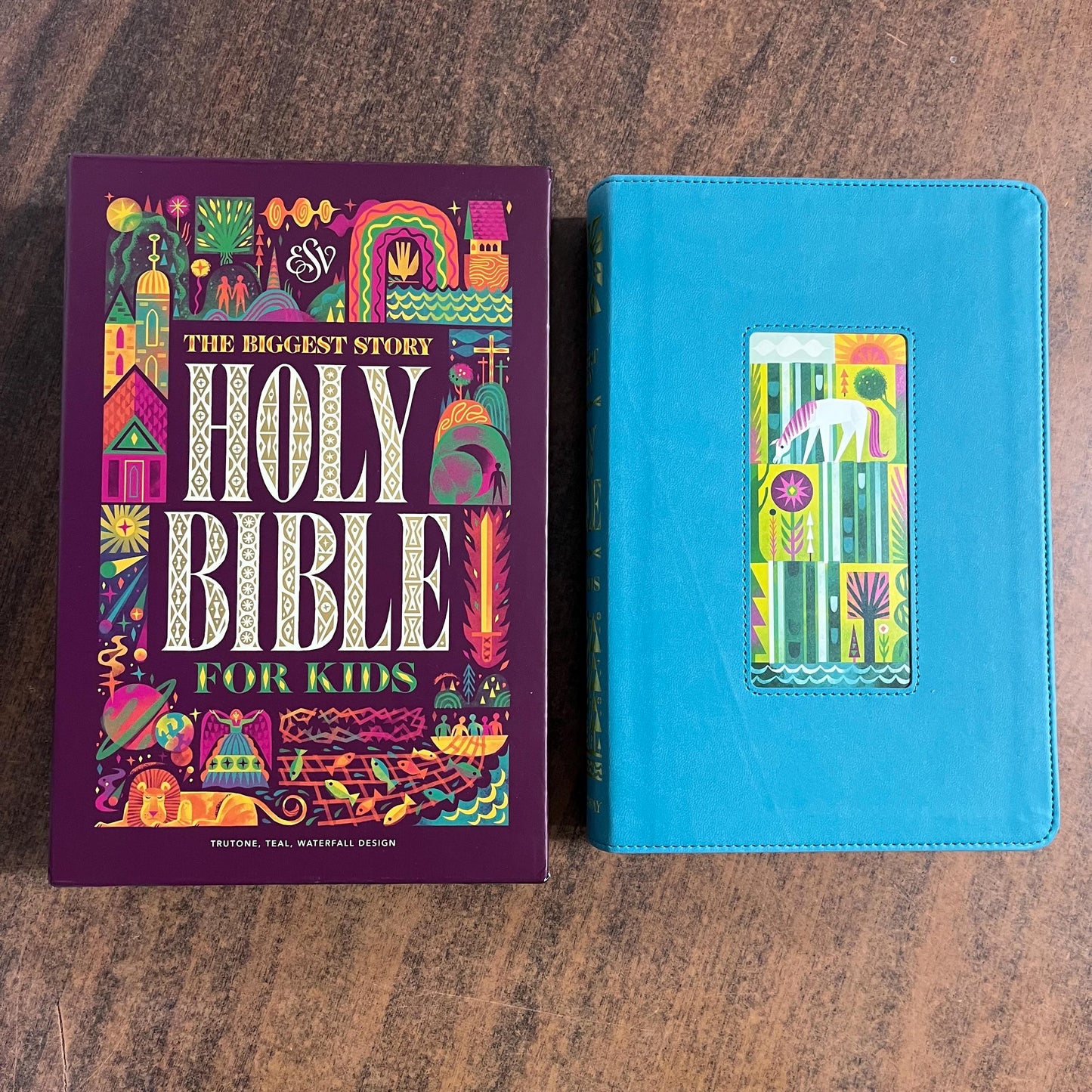 Personalized ESV Kids Bible - Teal Trutone - Custom Imprinted with name - Biggest Story Study Bible for Kids 9798874902520