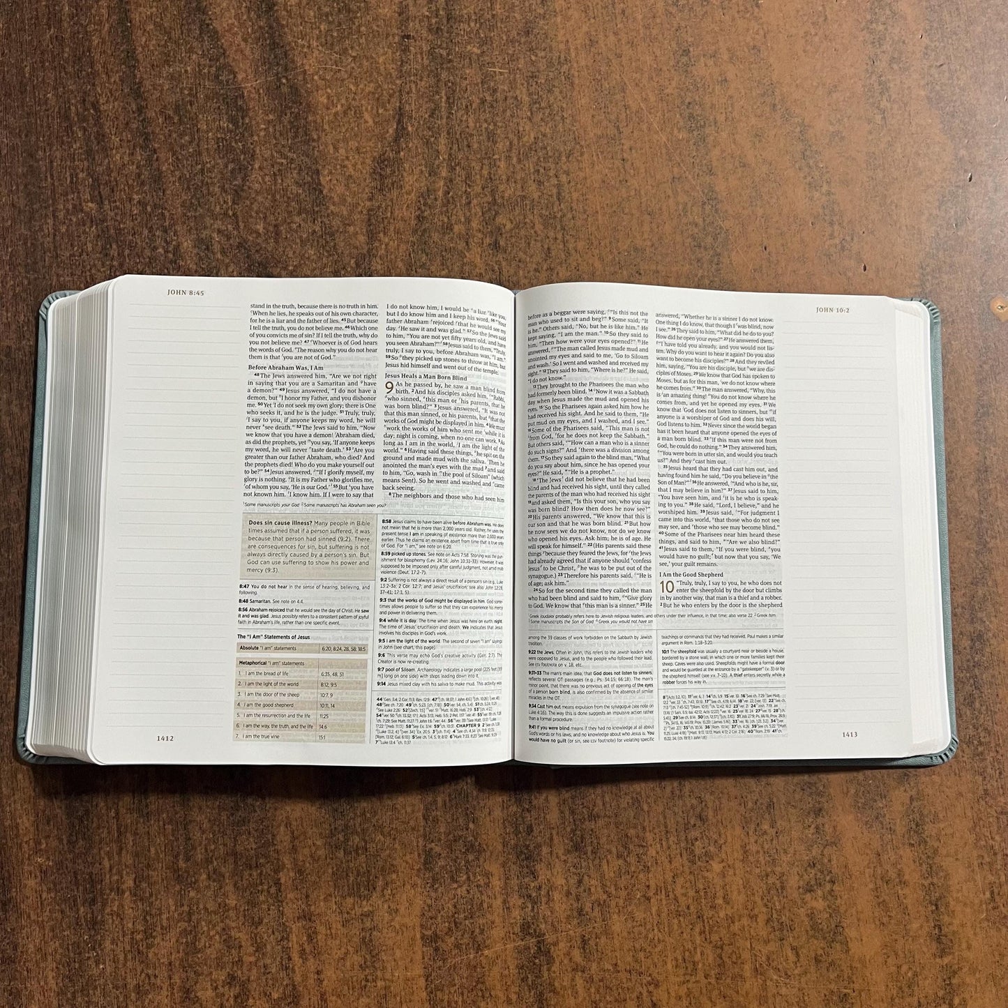 Personalized ESV Journaling Study Bible - Paris Sky Trutone over Board, Custom Imprinted with a name 9798874902568