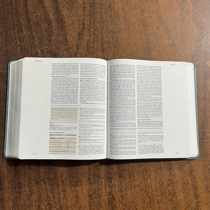 Personalized ESV Journaling Study Bible - Paris Sky Trutone over Board, Custom Imprinted with a name 9798874902568