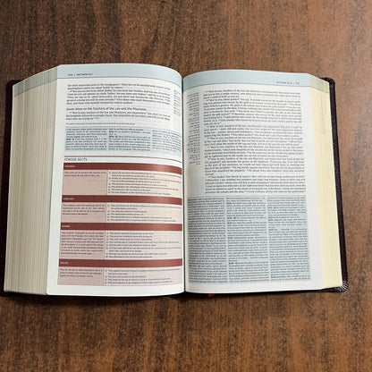 Personalized NIV Biblical Theology Study Bible - Burgundy Bonded Leather - Custom Imprinted with a name, D A Carson, ISBN 9780310450559