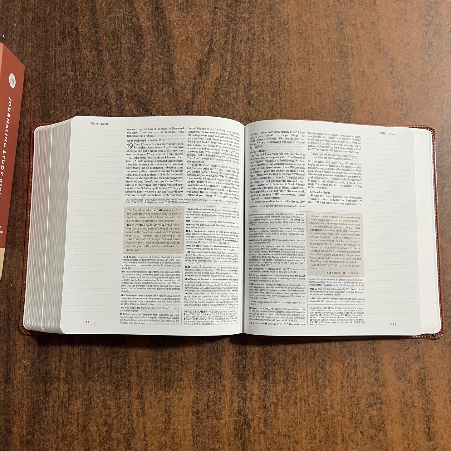 Personalized ESV Journaling Study Bible - English Saddle Trutone, 1 Chronicles 28:9 Deaign, Custom Imprinted with a name, 9798874902612