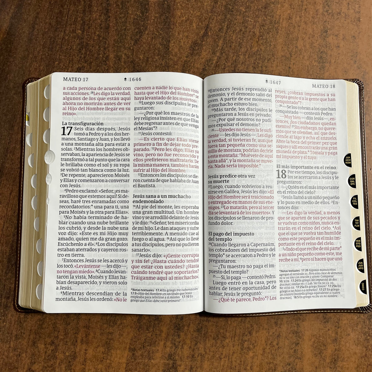 Personalized Spanish Bible Thumb Indexed - NTV Biblia Letra Super Gigante - Giant Print Bible - Rustic Brown LeatherLike 9798400511202