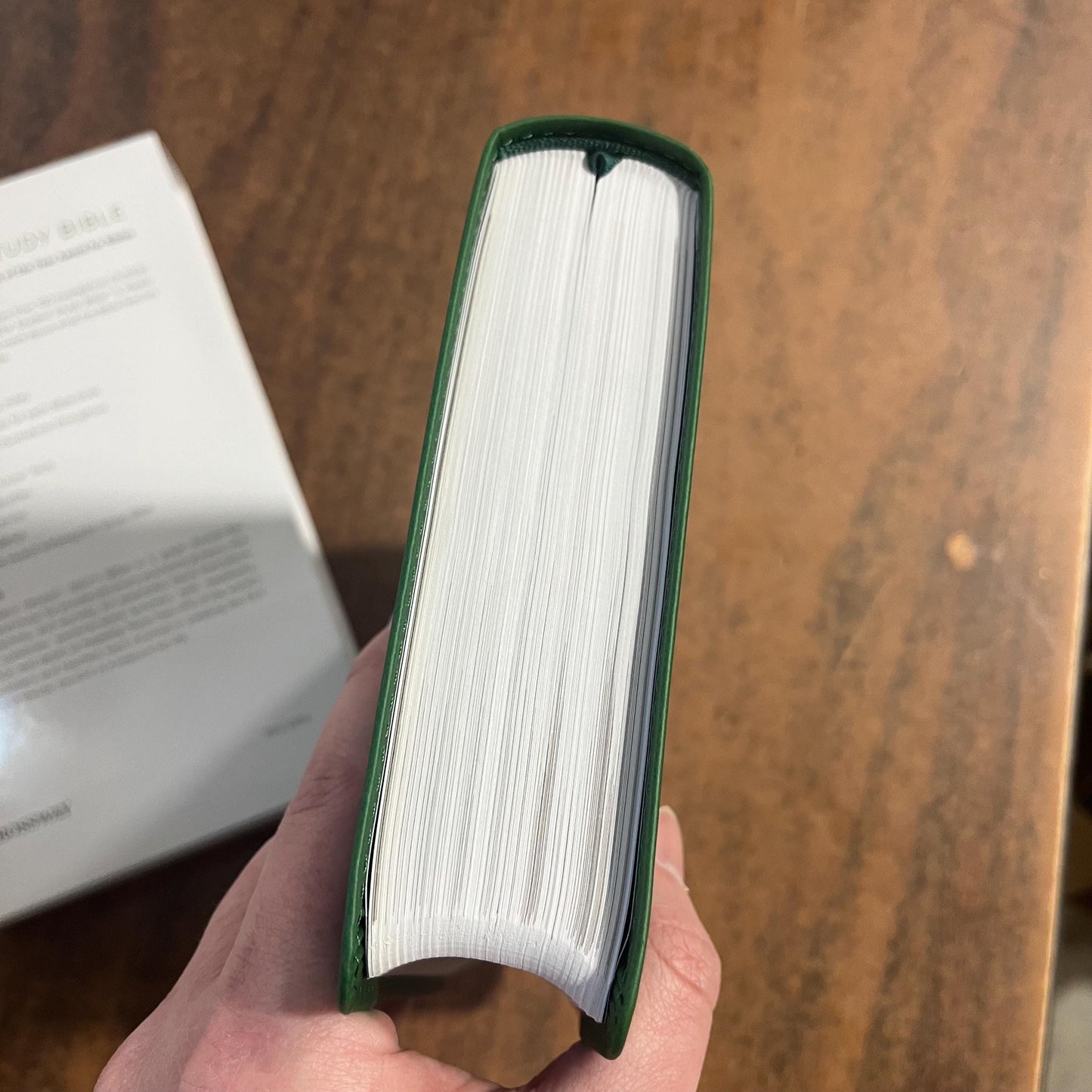 Personalized ESV Student Study Bible - Green Trutone, Mosaic Cross -  Custom Imprinted