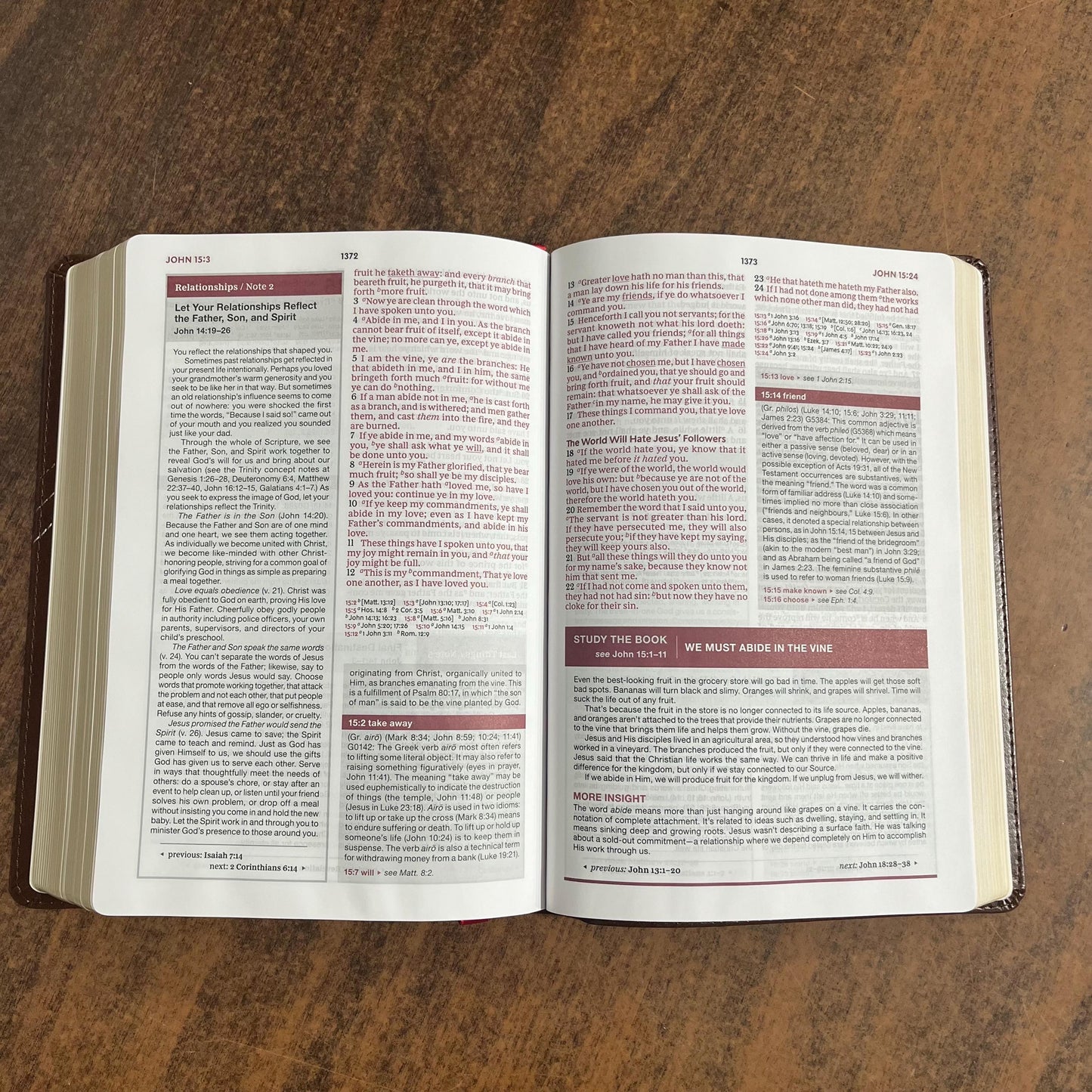 Personalized KJV Word Study Reference Bible - Brown LeatherSoft, custom imprinted with a name, 20spaces 9780785294924