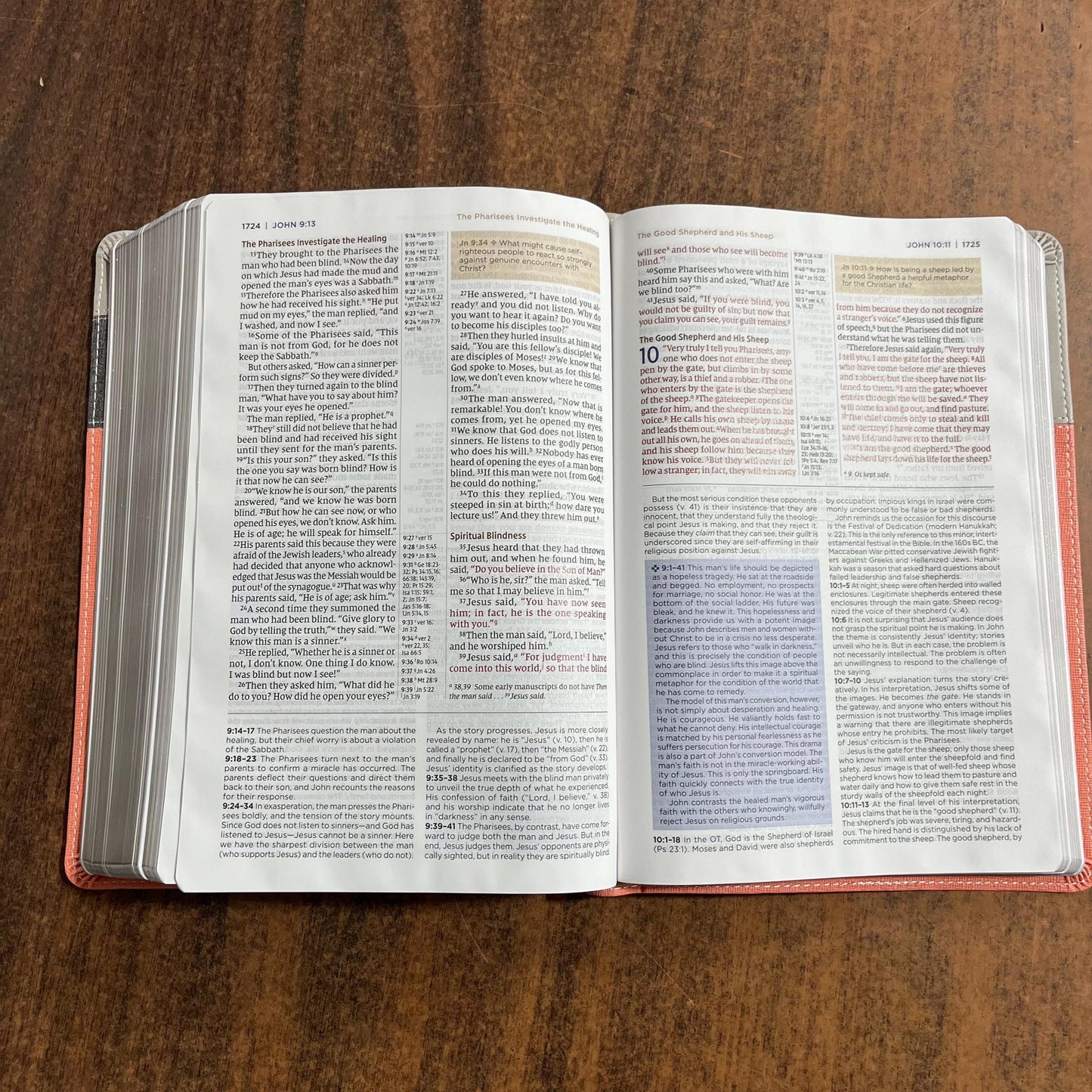 Personalized NIV Application Study Bible - Coral / Gray LeatherSoft - Custom Imprinted with a name, 9780310465171 (Update to Life Application Bible)