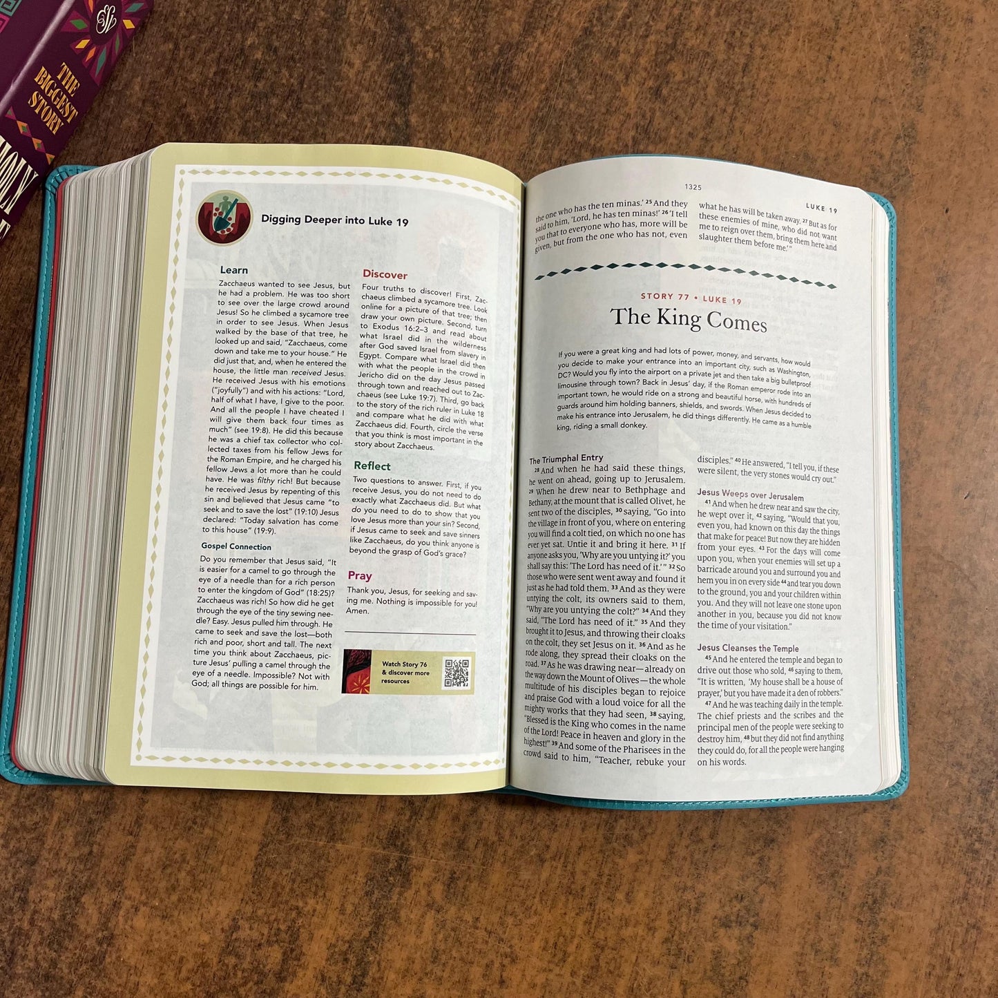 Personalized ESV Kids Bible - Teal Trutone - Custom Imprinted with name - Biggest Story Study Bible for Kids 9798874902520