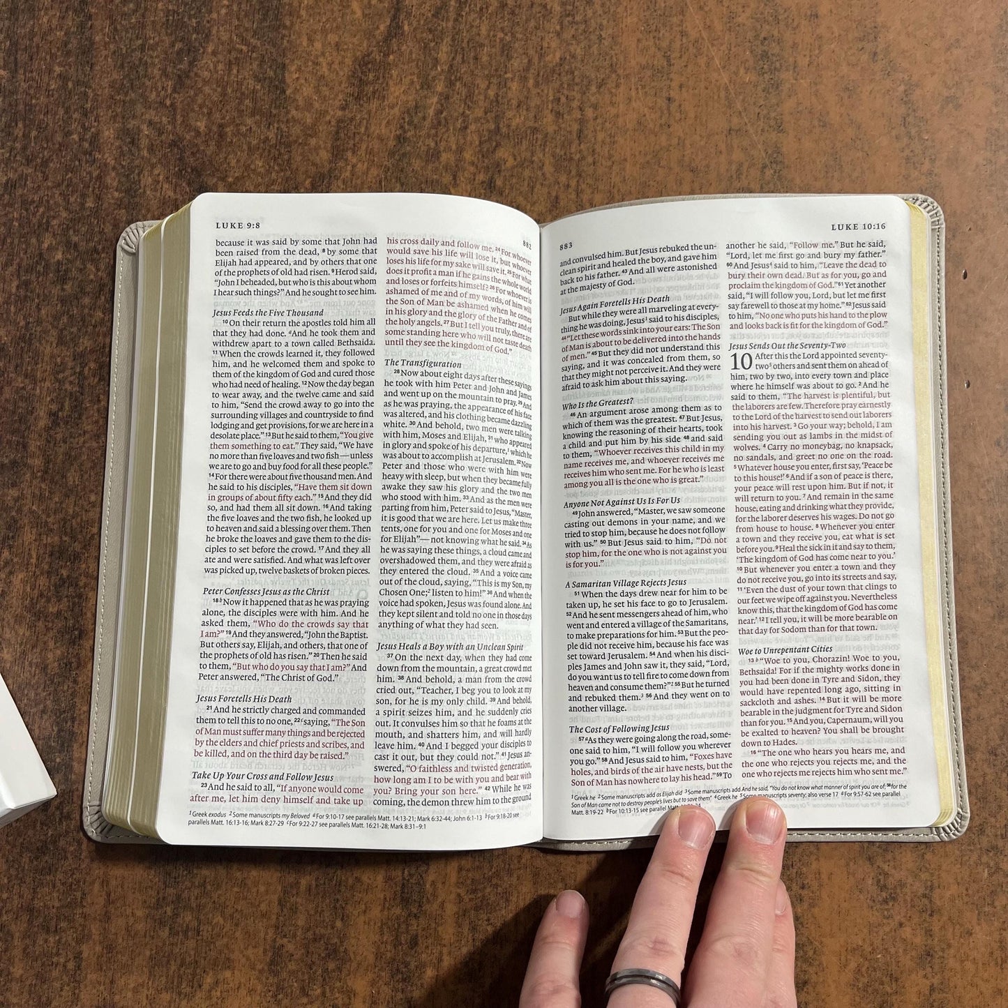 Personalized ESV Thinline Bible - Stone TruTone - Custom Imprinted with name engraved on cover - 9798874903558