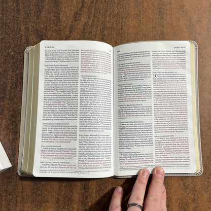 Personalized ESV Thinline Bible - Stone TruTone - Custom Imprinted with name engraved on cover - 9798874903558