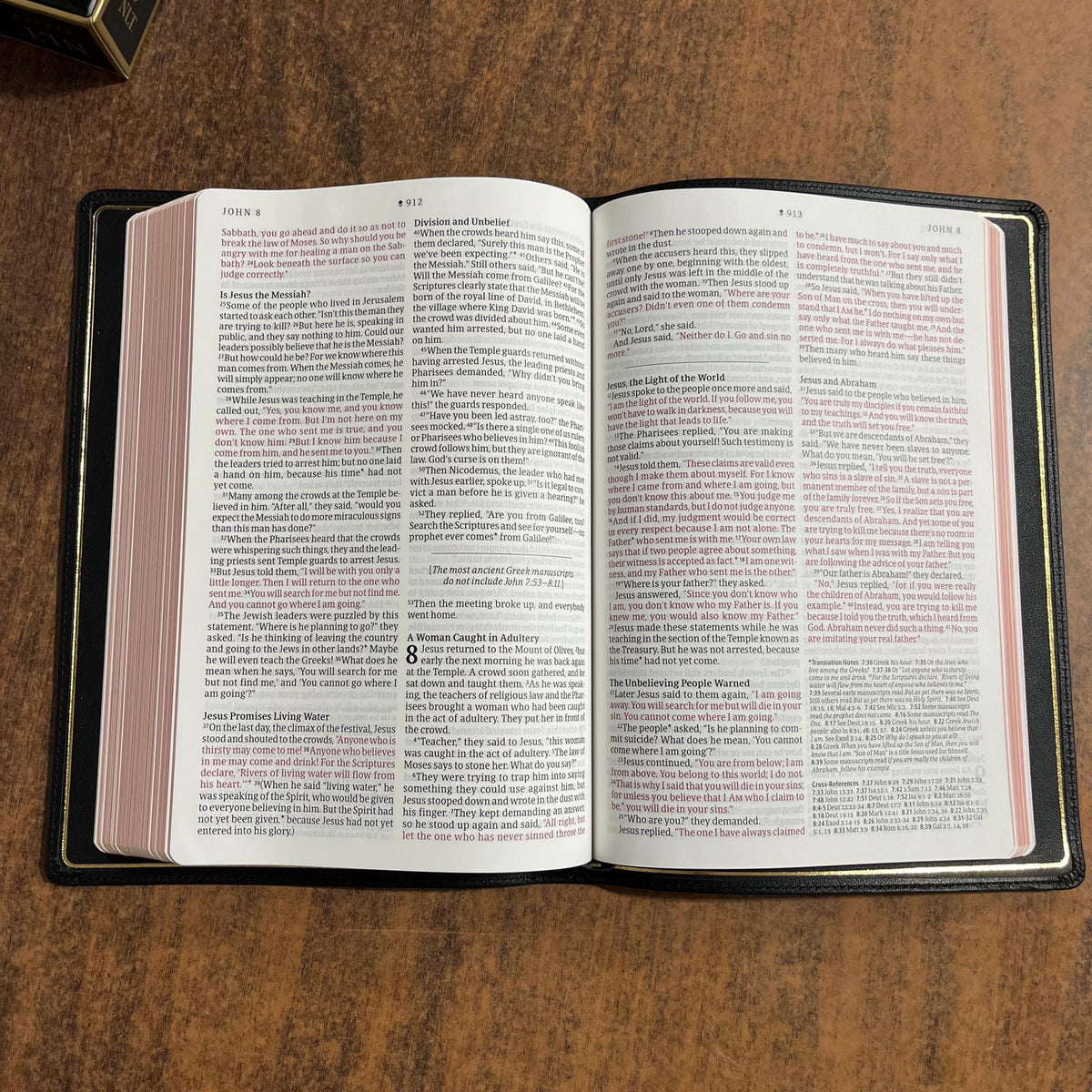Personalized NLT Tyndale Select Large Print Thinline Reference Bible - Black Goatskin Genuine Leather - Custom, 9798400506543