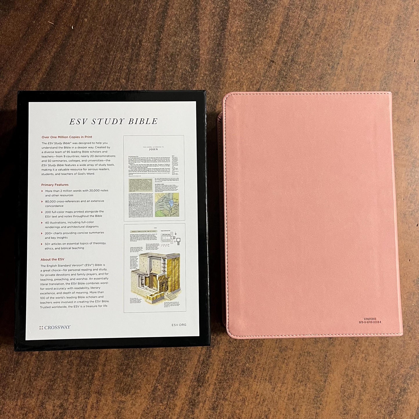 Personalized ESV Study Bible - Blush Rose (Pink) Trutone ** Custom Imprinted with name engraved 9798874902681