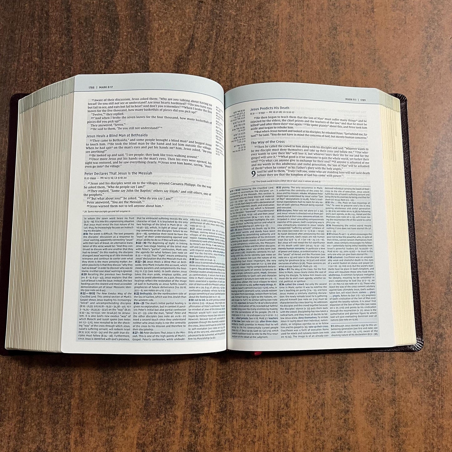 Personalized NIV Biblical Theology Study Bible - Burgundy Bonded Leather - Custom Imprinted with a name, D A Carson, ISBN 9780310450559