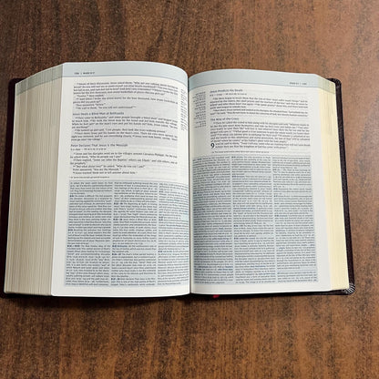 Personalized NIV Biblical Theology Study Bible - Burgundy Bonded Leather - Custom Imprinted with a name, D A Carson, ISBN 9780310450559