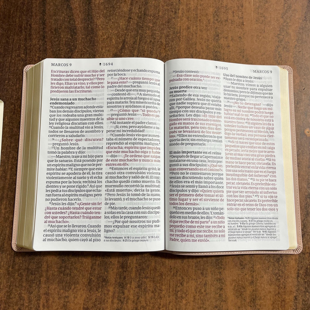Personalized Spanish Bible - NTV Biblia Letra Super Gigante - Giant Print Bible - Pale Pink LeatherLike -  Imprinted name 9798400511172
