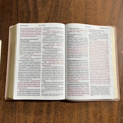 Personalized Spanish Bible - NTV Biblia Letra Super Gigante - Giant Print Bible - Pale Pink LeatherLike -  Imprinted name 9798400511172