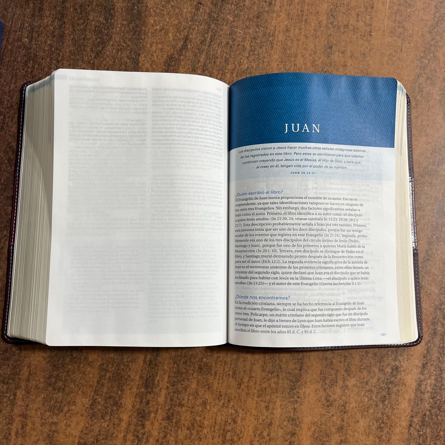 Personalized NTV Spanish Study Bible, Swindoll Biblia De Estudio - Cafe SentiPiel - 9781496438560