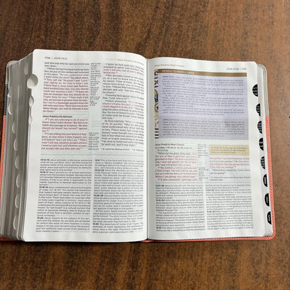 Personalized NIV Life Application Study Bible Thumb Indexed with Tabs - Coral / Gray LeatherSoft -Custom Imprinted with a name 9780310465171