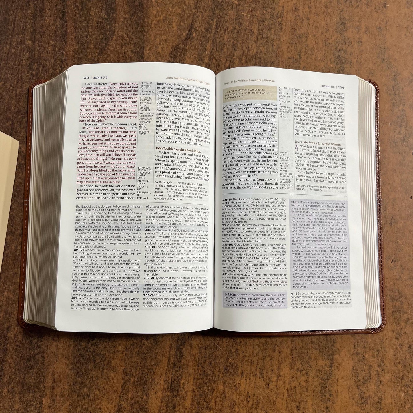 Personalized NIV Personal Size Application Study Bible - Brown / Slate Blue LeatherSoft - Custom Imprinted with name 9780310465249 (Update to Life Application Bible)