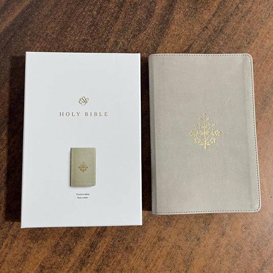 Personalized ESV Thinline Bible - Stone TruTone - Custom Imprinted with name engraved on cover - 9798874903558