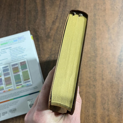 Personalized CSB Rainbow Study Bible Thumb Indexed - Brown LeatherTouch - Custom Imprinted name engraved, ISBN 978108774220