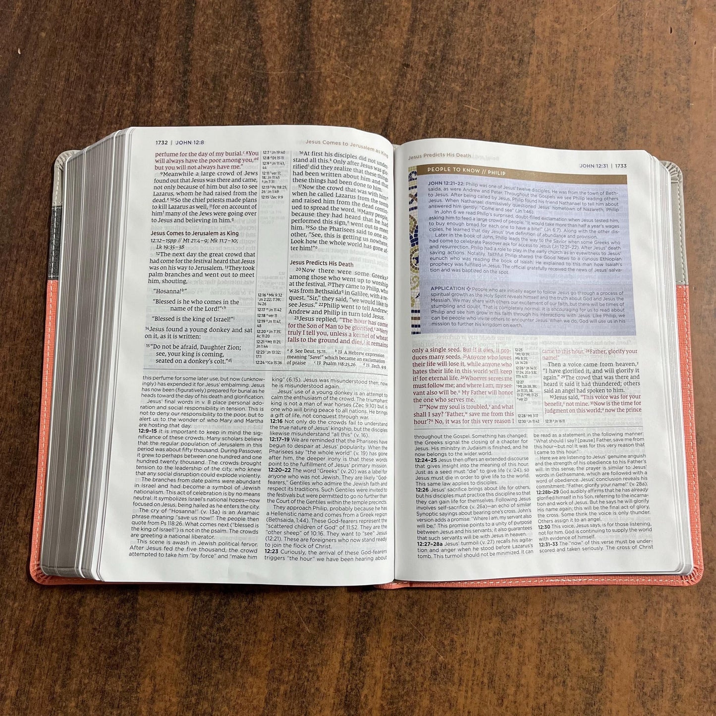 Personalized NIV Application Study Bible - Coral / Gray LeatherSoft - Custom Imprinted with a name, 9780310465171 (Update to Life Application Bible)