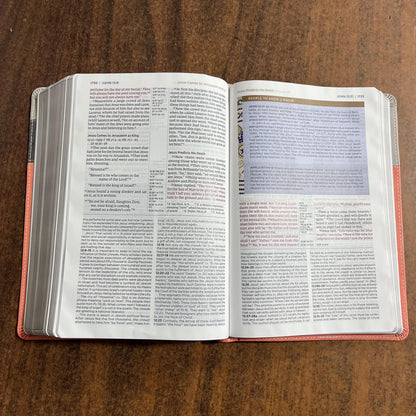Personalized NIV Application Study Bible - Coral / Gray LeatherSoft - Custom Imprinted with a name, 9780310465171 (Update to Life Application Bible)