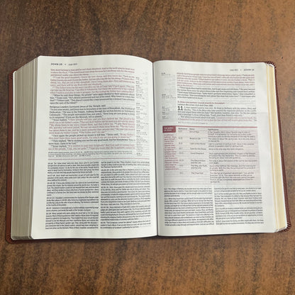 Personalized NLT Life Application Study Bible - Brown Genuine Leather - Custom Imprinted with a name, New Living Translation 9781496479020