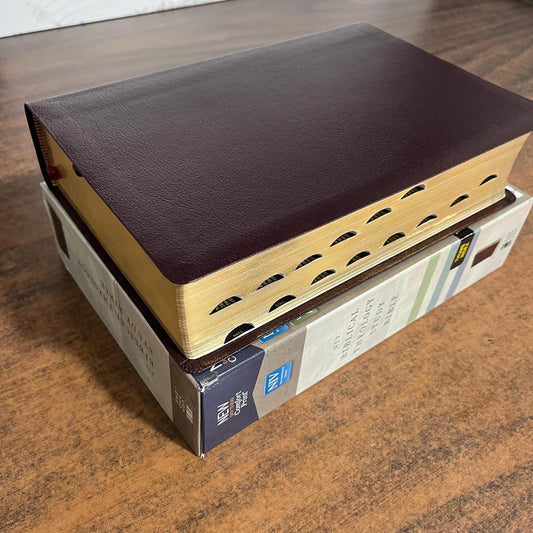 Personalized NIV Biblical Theology Study Bible Thumb Indexed - Burgundy Bonded Leather - Custom Imprinted with a name, ISBN 9780310450566