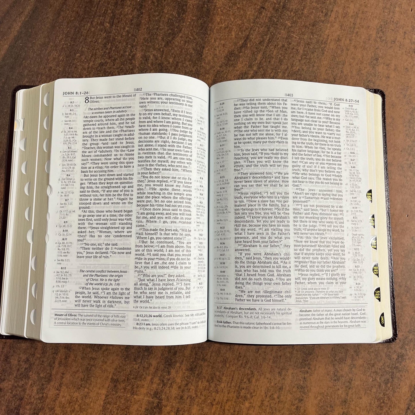 Personalized NIV 1984 Scofield Study Bible III Large Print Thumb Indexed - Burgundy Bonded Leather, Custom Imprinted Name, Out of Print