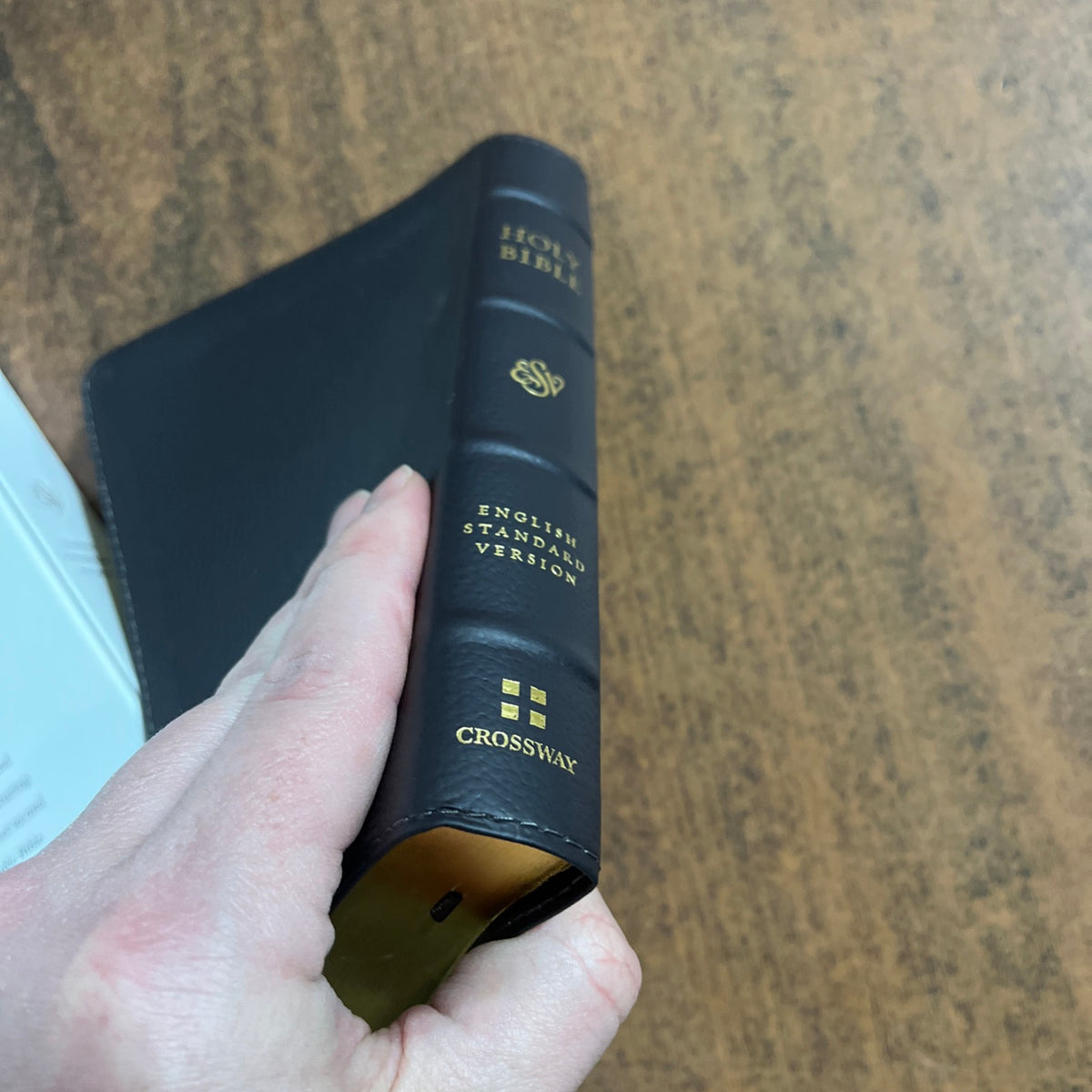 Personalized ESV Large Print Compact Bible - Deep Brown Genuine Buffalo Leather  Custom Imprinted, ISBN 9798874902926 20spaces