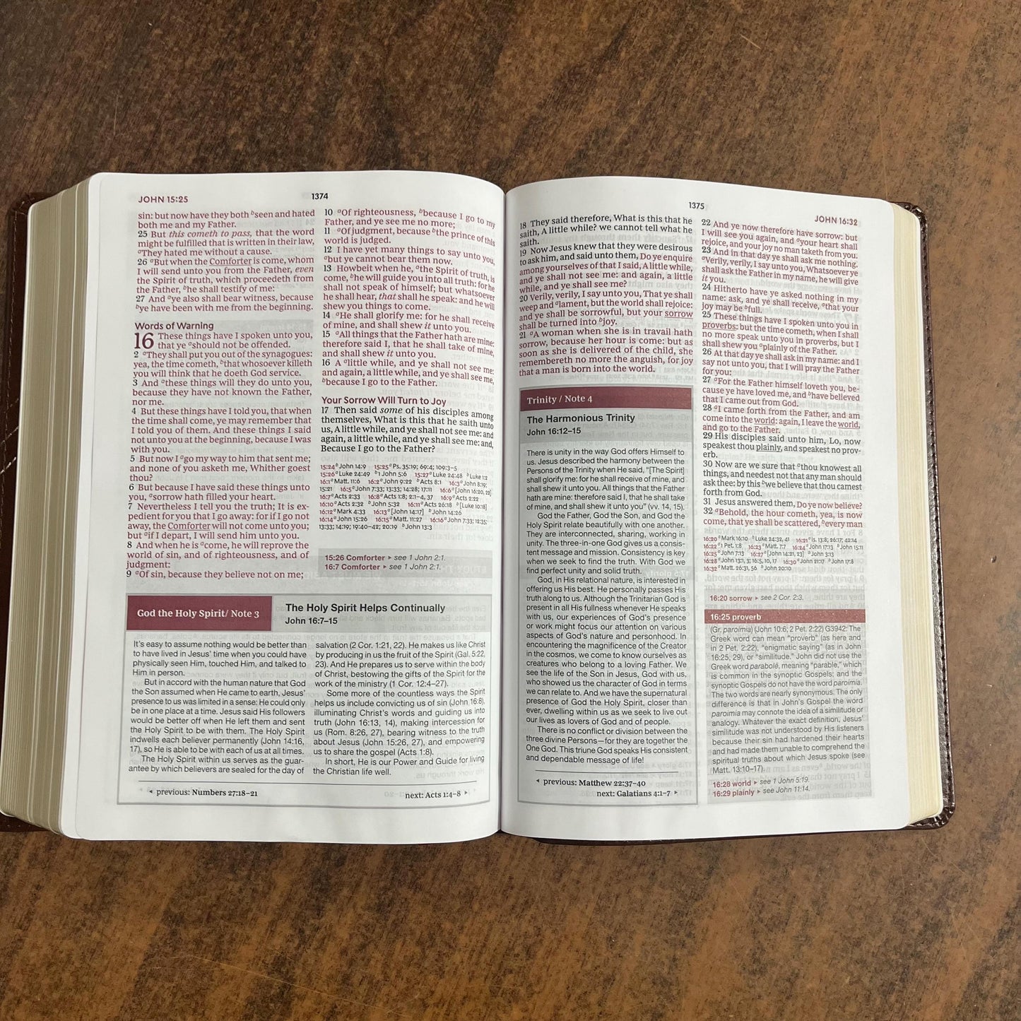 Personalized KJV Word Study Reference Bible - Brown LeatherSoft, custom imprinted with a name, 20spaces 9780785294924