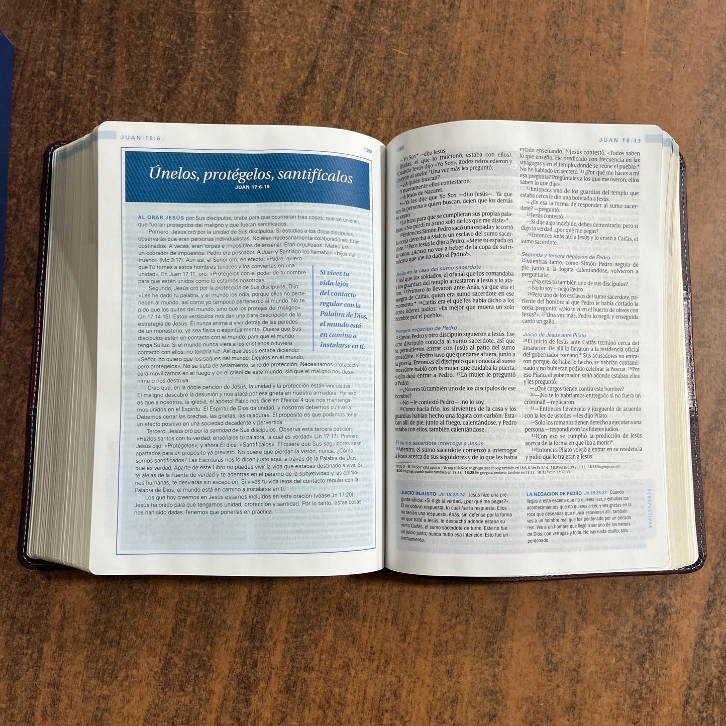 Personalized NTV Spanish Study Bible, Swindoll Biblia De Estudio - Cafe SentiPiel - 9781496438560