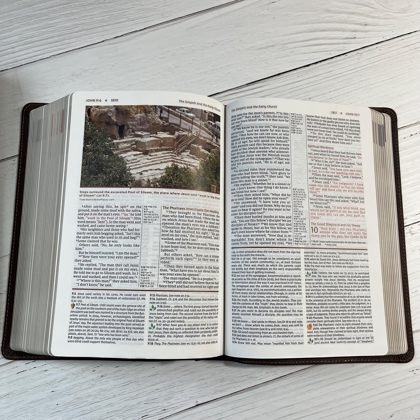 Personalized NIV Study Bible - Brown Genuine Calfskin Leather - Custom imprinted with a name, 9780310465805