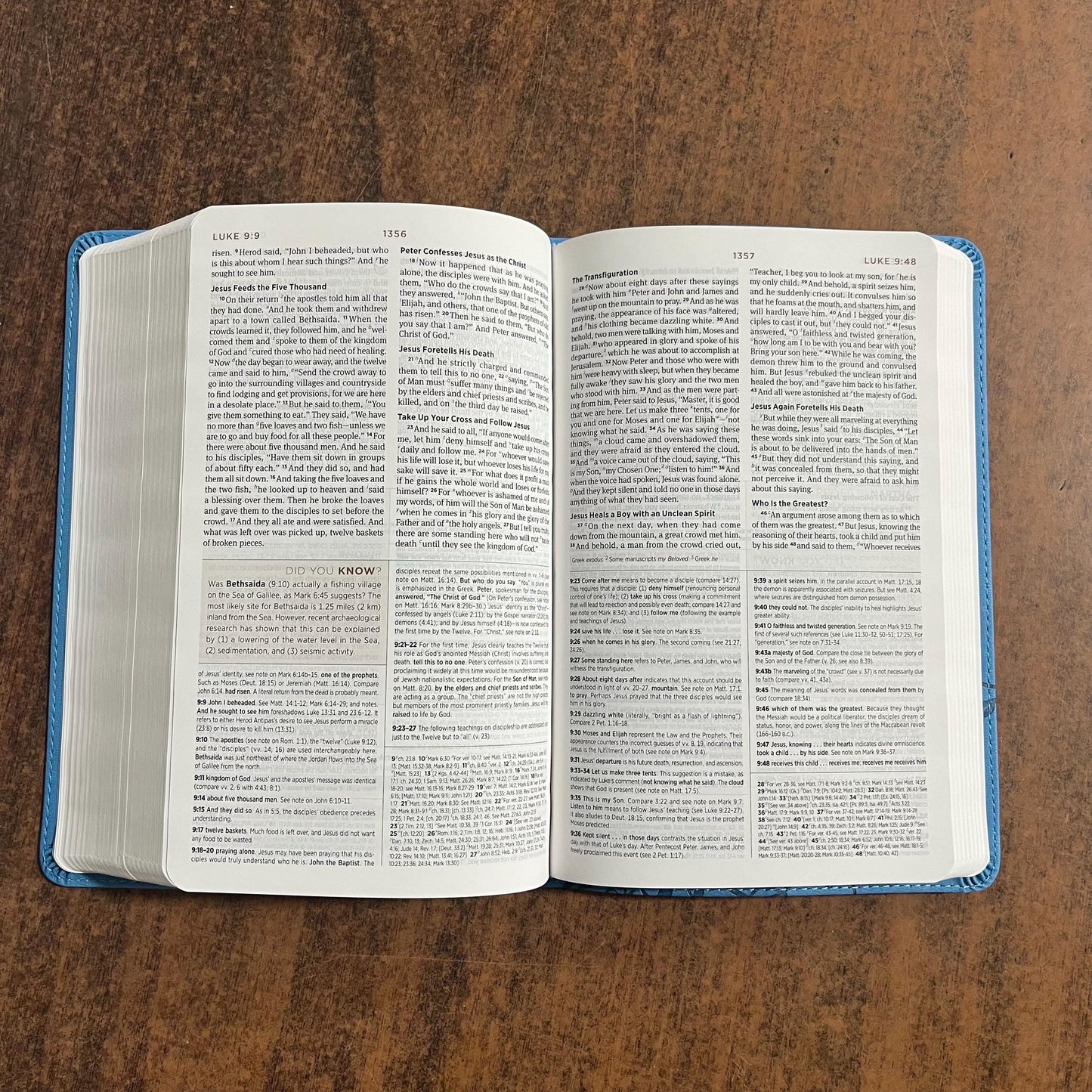 Personalized ESV Student Study Bible - Sky Blue Trutone, Ivy Design - Custom Imprinted with name engraved 9781433561931