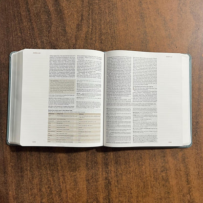 Personalized ESV Journaling Study Bible - Paris Sky Trutone over Board, Custom Imprinted with a name 9798874902568