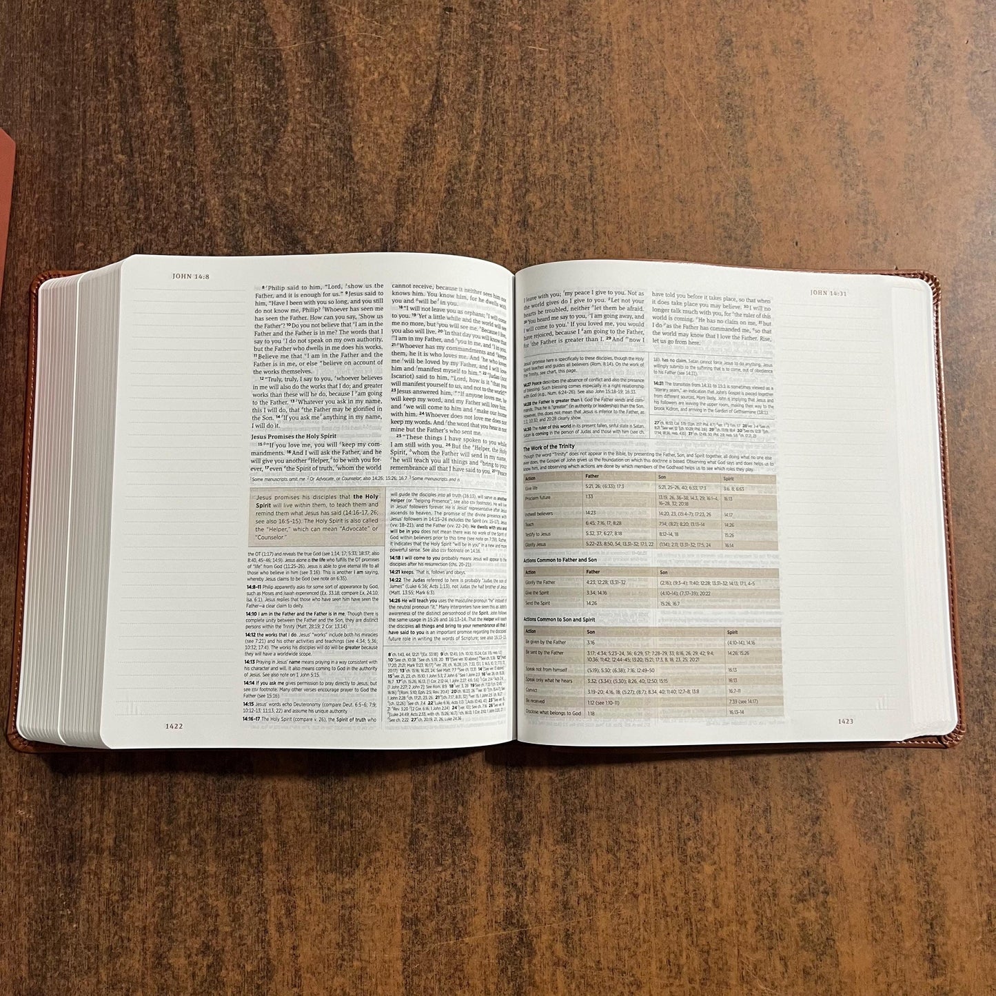 Personalized ESV Journaling Study Bible - English Saddle Trutone, 1 Chronicles 28:9 Deaign, Custom Imprinted with a name, 9798874902612