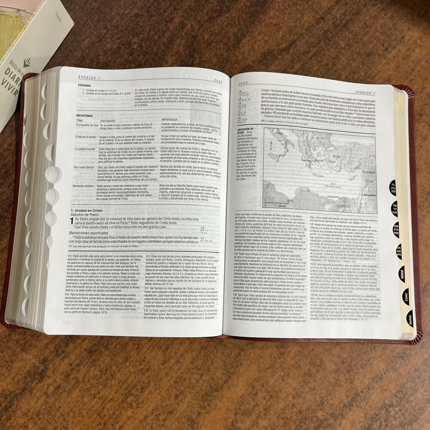 Personalized NTV Spanish Life Application Study Bible Thumb Indexed, Bible De Studio Diario Vivir 9798400506789