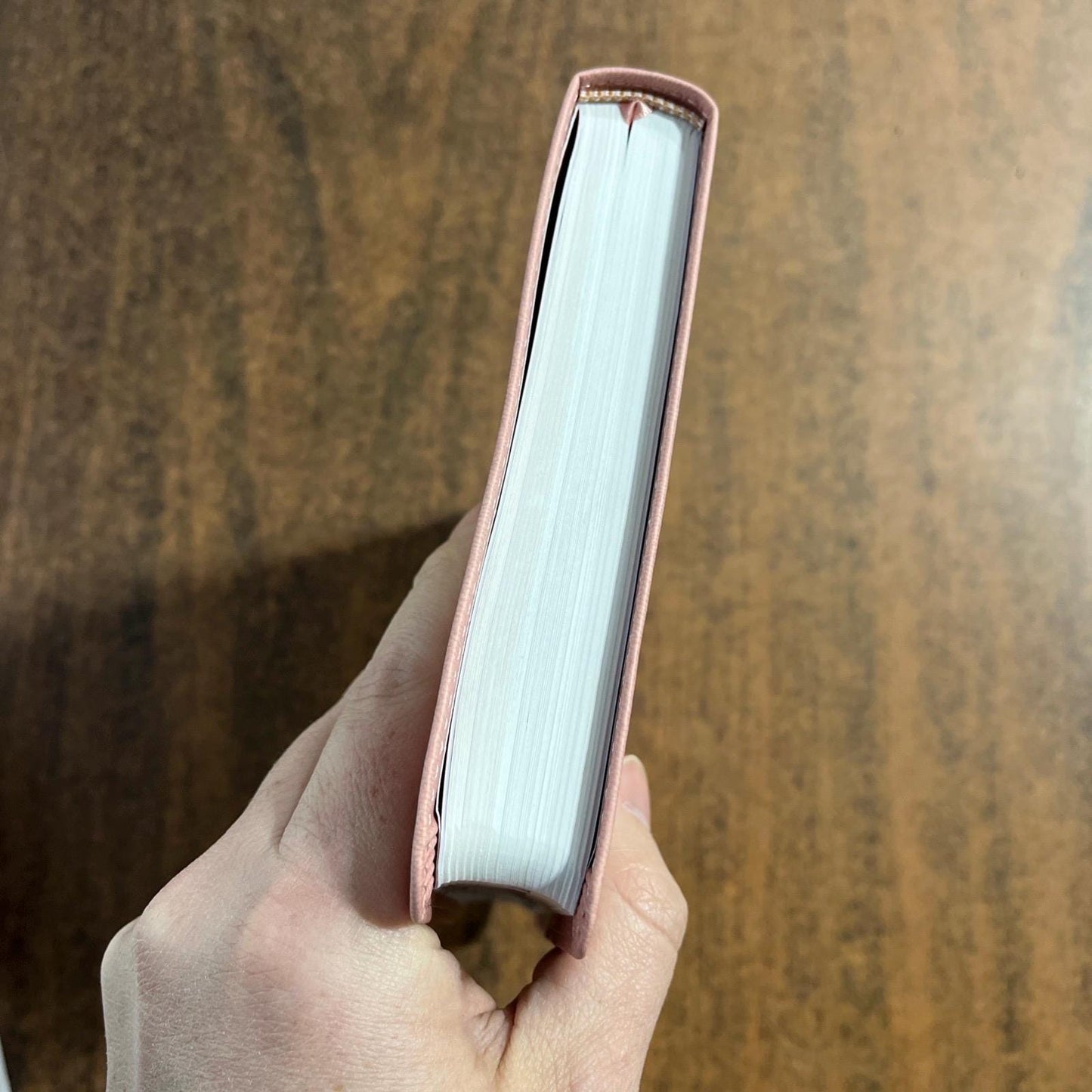 Personalized ESV Thinline Bible Thumb Indexed - Blush Rose (Pink) Cover - Custom Imprinted with a name - 9798874904333 - 2025 text