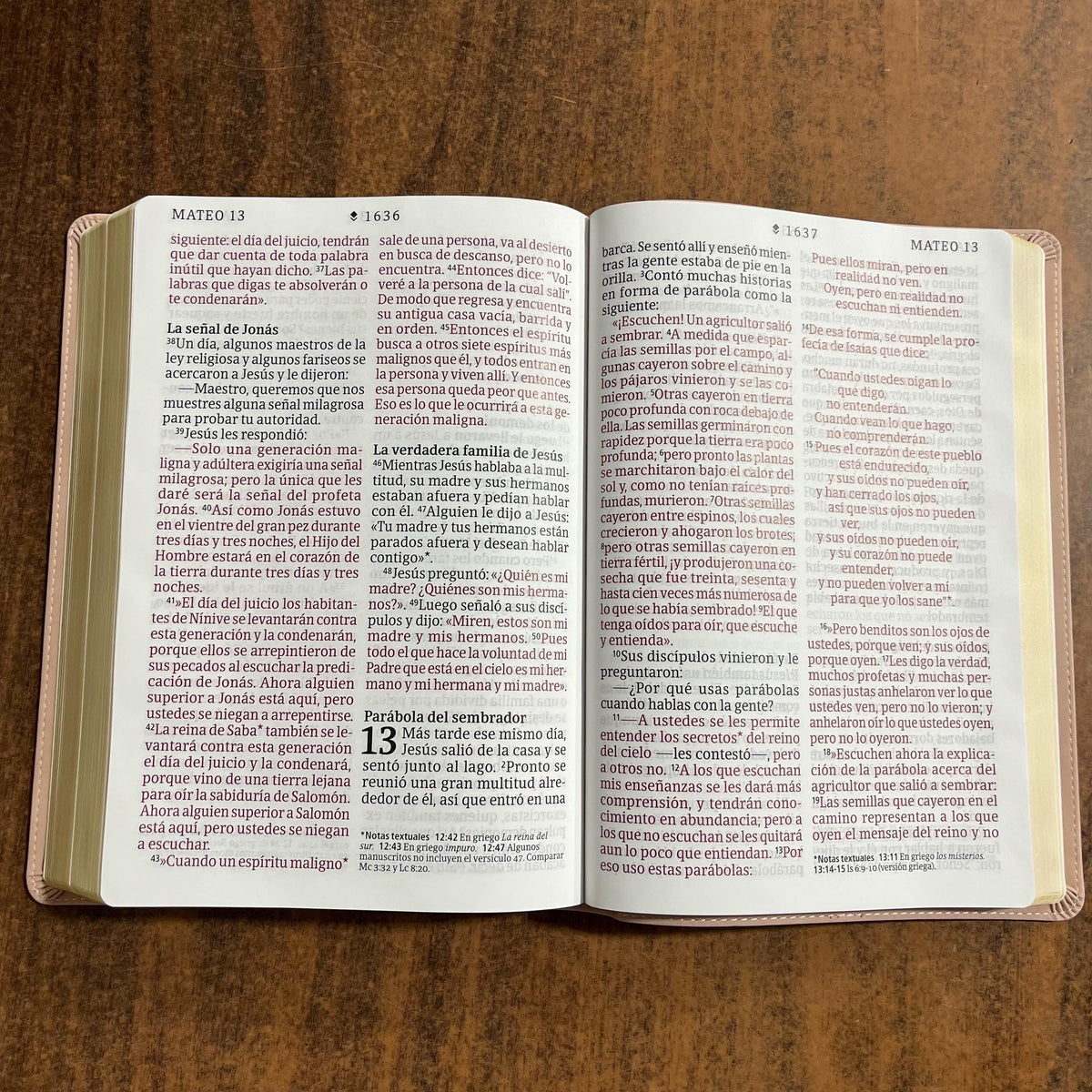 Personalized Spanish Bible - NTV Biblia Letra Super Gigante - Giant Print Bible - Pale Pink LeatherLike -  Imprinted name 9798400511172