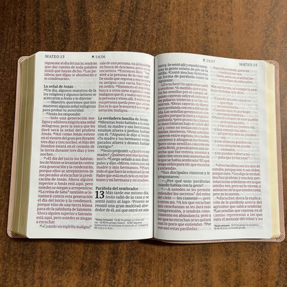 Personalized Spanish Bible - NTV Biblia Letra Super Gigante - Giant Print Bible - Pale Pink LeatherLike -  Imprinted name 9798400511172