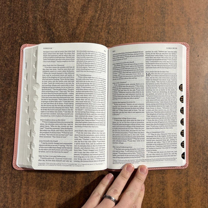 Personalized ESV Thinline Bible Thumb Indexed - Blush Rose (Pink) Cover - Custom Imprinted with a name - 9798874904333 - 2025 text