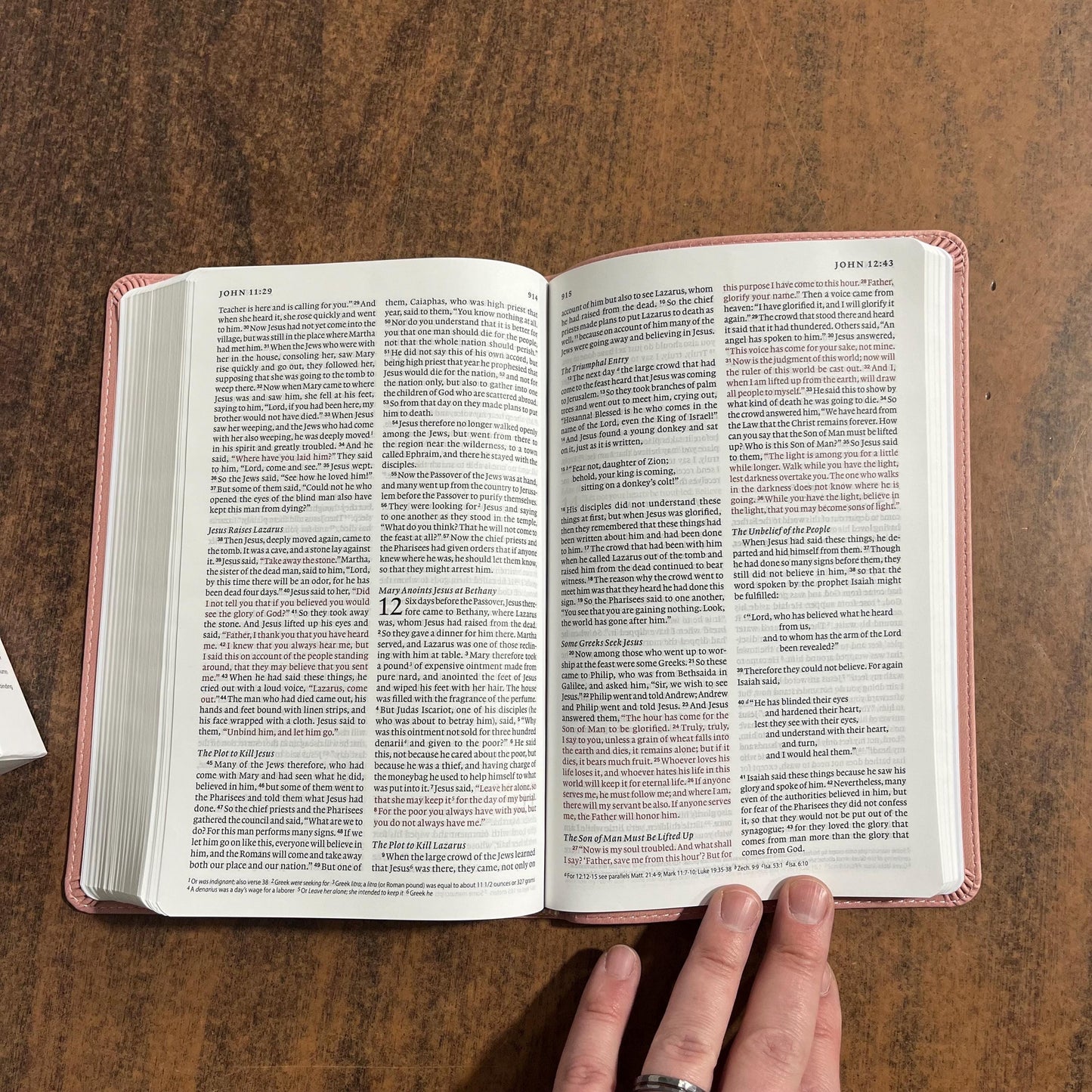 Personalizable ESV Thinline Bible - Blush Rose TruTone (Light Pink), Custom Imprinted with name, ISBN 9798874903718
