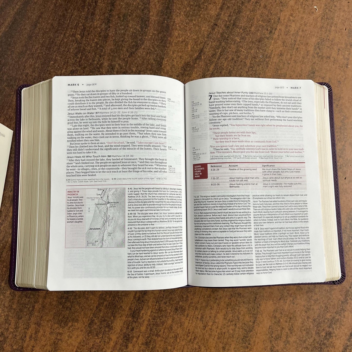 Personalized NLT Life Application Study Bible - Purple LeatherLike - Custom Imprinted 9781496455185
