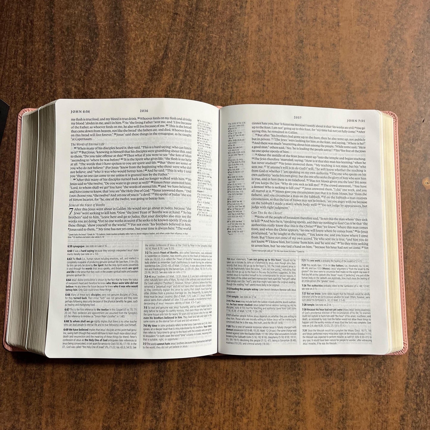 Personalized ESV Study Bible - Blush Rose (Pink) Trutone ** Custom Imprinted with name engraved 9798874902681