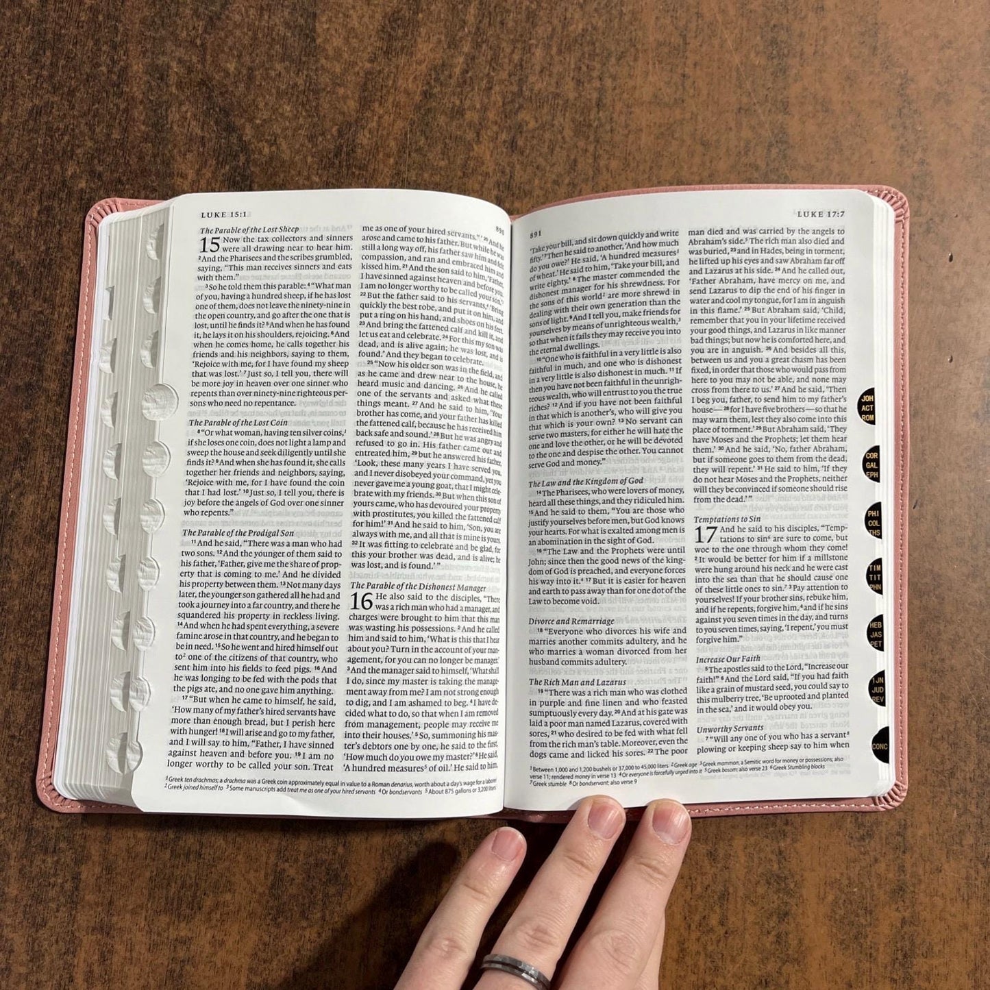 Personalized ESV Thinline Bible Thumb Indexed - Blush Rose (Pink) Cover - Custom Imprinted with a name - 9798874904333 - 2025 text